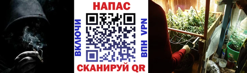 Бошки марихуана гибрид  наркота  Новосиль 